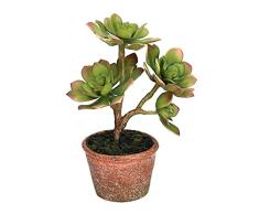 Vacchetti - Planta suculenta Maceta, plástico, Rojo y Verde, Medio