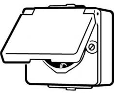 Jung - Enchufe con tapa (620 W)