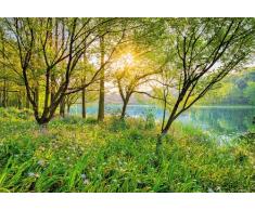 Komar 8 – 524 368 x 254 cm National Geographic primavera lago lago Scenic papel pintado de – verde (Pack de 8)