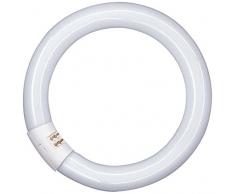 Osram Lumilux T9 Tubo Fluorescente GR10q, 40 W, Blanco (Cool White), 40.6 cm