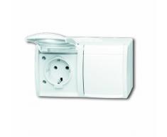 Busch-Jaeger 202 EWN-54 - Enchufe con tapa