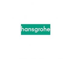 Hansgrohe 98993000 - Alcachofa móvil para ducha