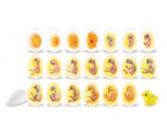 Learning Resources - Juguete educativo de biología (LER2733) (versión en inglés)