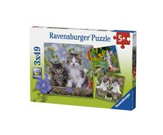 Ravensburger - Puzzle 3 x 49, Gatitos Atigrados (08046)