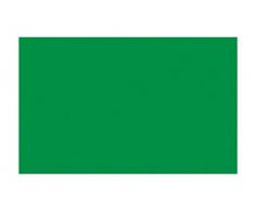 Ursus 3774659 - Cartulina (DIN A4, 300 g/m², 50 Hojas), Color Verde