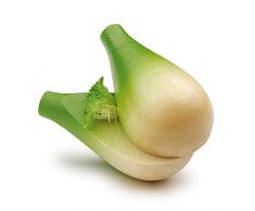 Erzi Bombilla hinojo, Bulbo de hinojo Juguete, Madera hinojo, Tienda de Accesorios