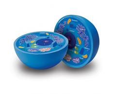 Learning Resources - Juguete Educativo de biología (LER1900) (versión en inglés)