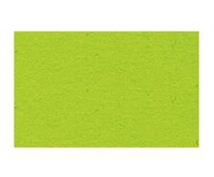 Ursus 3774651 - Cartulina (DIN A4, 300 g/m², 50 Hojas), Color Verde Claro