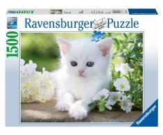 Ravensburger - Gatito Blanco, Puzzle de 1500 Piezas (16243 7)