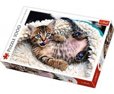 Puzzle 1000 Wesoly kotek