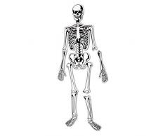 Learning Resources- Skeleton Floor Puzzle Puzle de Esqueleto con Piezas de Espuma para Montar en el Suelo, Color, 3+ (LER3332)