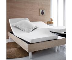 SCENARIO Sábana bajera de punto 100% algodón orgánico para cama articulada blanco