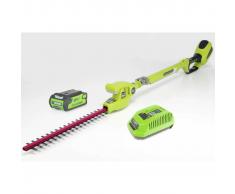 Greenworks Cortasetos con batería 40 V 2 Ah G40PH51 22147TUA