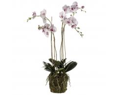 Emerald Orquídea artificial con musgo rosa claro 419149