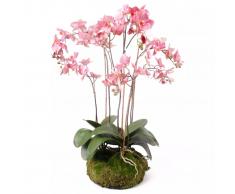 Emerald Orquídea artificial con musgo rosa 75 cm 417662