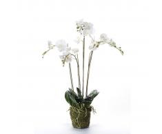 Emerald Orquídea artificial con musgo blanca 90 cm 20.355