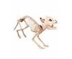 Decoración esqueleto de gato 60 cm Halloween Única