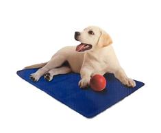 GadgetcKing ANIMAL DOMÉSTICO DE ENFRIAMIENTO GEL MAT CAMA PERRO CAT VERANO CALENTAR CACHORRO COJÍN COCHE EXCELENTE