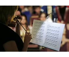 Wedo 254 1001 Lámpara de Lectura portátil, Negro