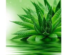 Evergreenweb – Colchón de Waterfoam de 20 cm de alto, ortopédico, con revestimiento de efecto masajeador, tejido transpirable y antiácaros, ideal para red o cama, modelo Fashion