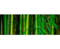 Cabecero Cama PVC Impresión Digital Bambú Multicolor 100 x 60 cm | Disponible en Varias Medidas | Cabecero Ligero, Elegante, Resistente y Económico