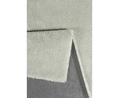 Esprit Relaxx Moderno Marca Alfombra, poliéster, Frosty Verde, 170 x 120 x 2.5 cm