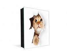 Concept Crystal Pizarra Magnética con Armario para Llaves K02 Gato en Papel