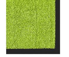 casa pura Alfombra Puerta Entrada Casa - Felpudo Entrada Casa | Rhine | Exterior & Interior | Atrapa la Suciedad | Muchos Colores y tamaños (Verde Claro, 40x60 cm)