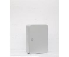 Arregui PLL60 Armario De Seguridad para 60 Llaves, Gris, L