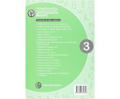 MIS JUGUETES LAS PALABRAS Y MI AMIGO EL DICCIONARIO ORTOGRAFÍA 3