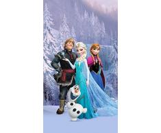 The North Face FCSL 7147 Cortinas para Niños, Multicolor, 140 X 245