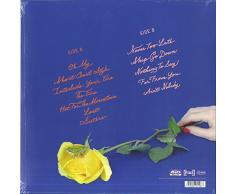 The Future And The Past [Vinilo]