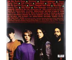 Badmotorfinger [Vinilo]