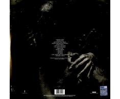 Slipknot -We Are Not Your Kind (2 Lp-Vinilo)