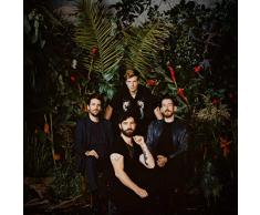 Foals - Everything Not Saved (LP-Vinilo)