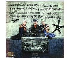 Revolution Radio [Vinilo]