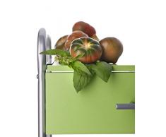 DON HIERRO - Verdulero ALESIA