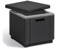 Keter Ice Cube Mesa nevera para jardín, Grafito