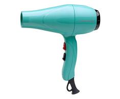GAMMAPIU Secador de Pelo Profesional 2001 R, Alto Rendimiento, Secadora para Cabello, Ligero, 2 Velocidades Silencioso, Potente, de secado rápido, 3 Temperaturas, Mango Ergonómico, W 1900-2200