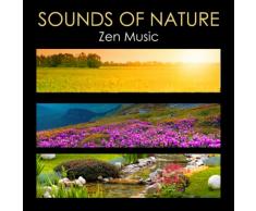 Sounds of Nature Zen Music - Relaxing Nature Music for Zen Meditation, Chakra Balancing, Body Mind Connection, Yoga, Massage, Sauna, Relaxation, Deep Sleep & Relax
