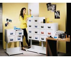 Rexel 3312080 caja y organizador para almacenaje de archivos - Organizador de almacenaje