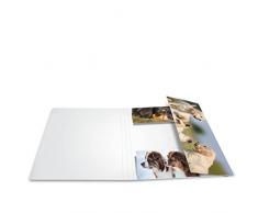 HERMA 19211 - Carpeta (Cartón, Multicolor, A4)