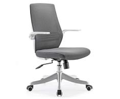 SIHOO Silla de Oficina ergonómica Moderna, giratoria de 360 ° con cómodo Soporte Lumbar y reposabrazos Plegables, Silla de computadora Ajustable en Altura con Ruedas silenciosas (Gris)