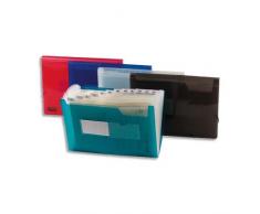 5 Etoiles 32114 - Carpeta clasificadora (13 compartimentos y fundas para tarjetas de visita, plástico), color transparente