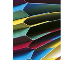 Exacompta carpeta de cartón manila, A4 con 12 compartimentos y cierre de goma, 400 g cosido, Amarillo