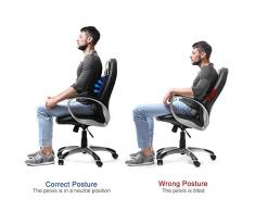 Healifty Almohada Lumbar Cojín Lumbar de Memoria Ortopedico Amortiguar Para Sillas de Oficina y Asientos de Carro Ergonómico (Azul)