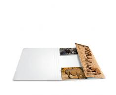 HERMA 19214 - Carpeta (Cartón, Multicolor, A4)