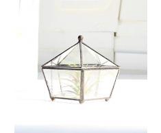MINGZE Terrario de Estilo Retro con Patas pequeñas de Cobre Dorado, Cristal Transparente, Forma joyero pentagonal, para Plantas, para Escritorio, con Tapa basculante (Negro Lata)