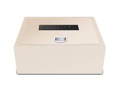 LZRZBH Cajas de seguridad cerradura de acero caja fuerte y cerradura cajas, la caja de dinero enrollable de seguridad del cajón de coches Ocultos armario seguro del hogar Pequeño hotel Room