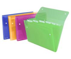 Rexel Ice - Carpeta clasificadora para documentos DIN A4 con 6 compartimentos, colores surtidos